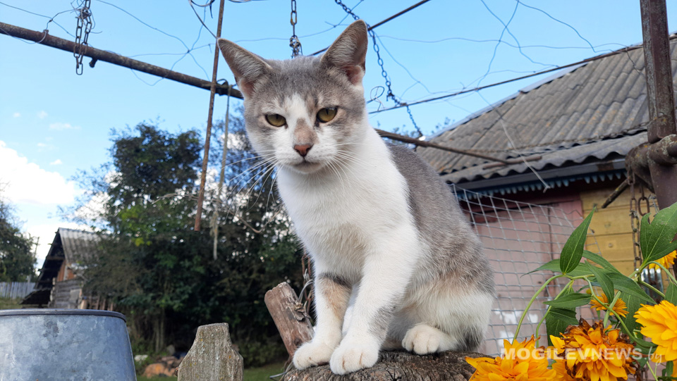 Погода на неделю: теплые дни, ночные заморозки до -3°С и преимущественно без осадков