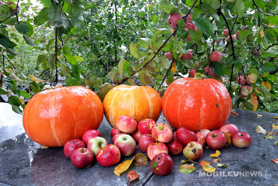 Погода на выходные: ночные заморозки, днем до +16 и преимущественно без осадков