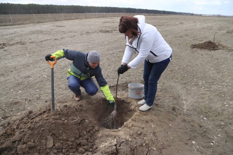 Плантация грецкого ореха появилась в Кировском районе