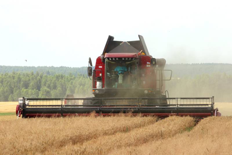 В Могилевской области убрано 3,16 тыс. га зерновых и зернобобовых культур