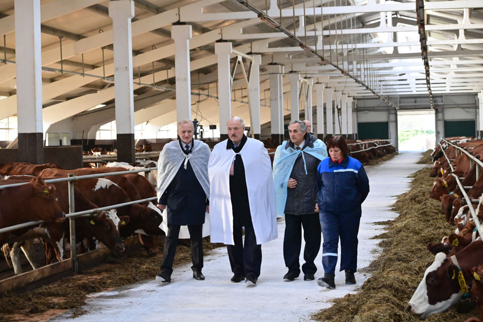 Три поездки за неделю. Чем занимался Александр Лукашенко в Лиде и почему поехал в Добруш и Устье