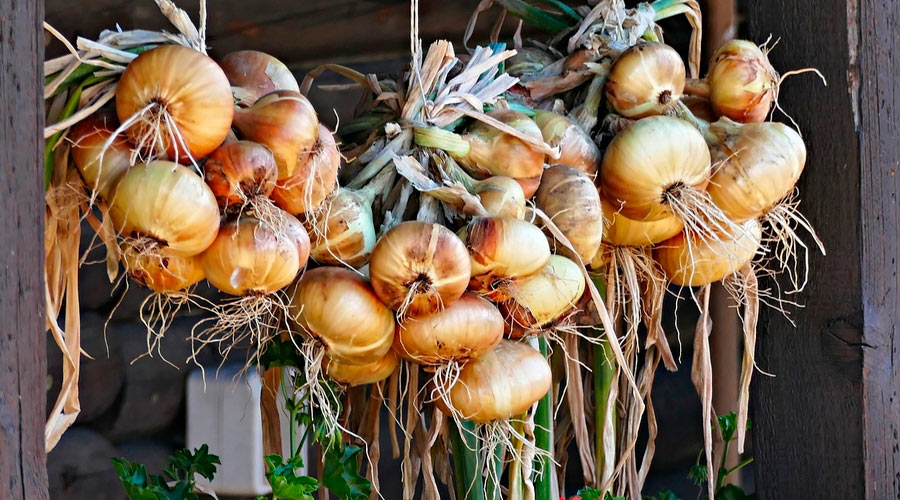 Народный праздник «Луков день» прошел в Костюковичском районе