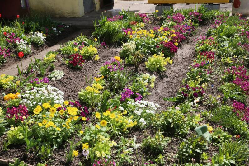 Красоту своими руками создают жители одного из домов по улице Советской в Шклове