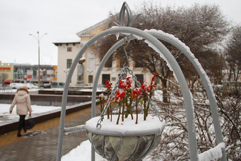 Мокрый снег с дождем и около 0°С ожидается в первой половине следующей недели в Могилевской области