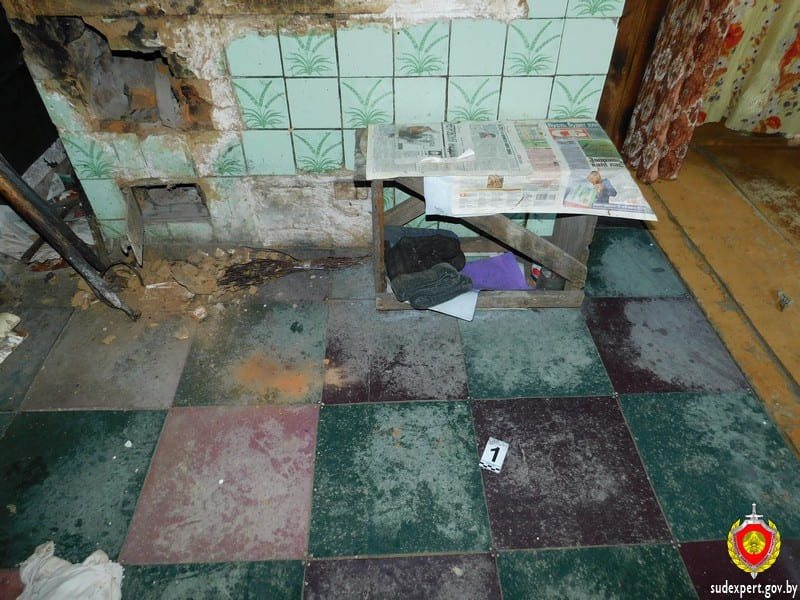 Два деревенских домах в Горецком районе обокрал 50-летний мужчина