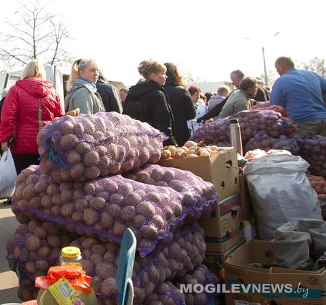 Радиационный контроль овощей с личных подсобных хозяйств и воды из шахтных колодцев Могилевского района провел зонЦГЭ