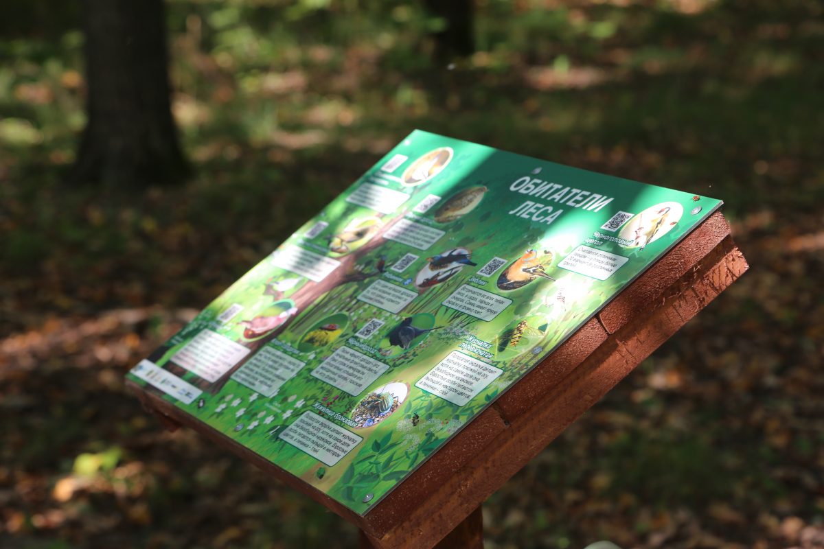 Экологическая тропа «Киселевичи» открылась в Бобруйске