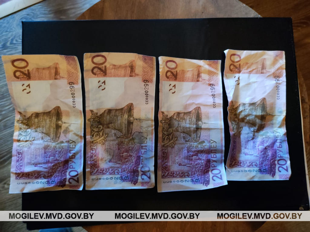 Восемь поддельных белорусских «двадцаток»  изъяли в Бобруйске