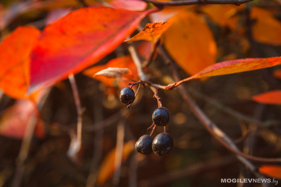 Погода на выходные: кратковременные дожди, местами возможен снег