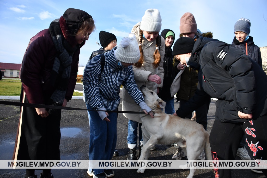 Ребята из гимназии №3 Могилева побывали на экскурсии в кинологическом центре