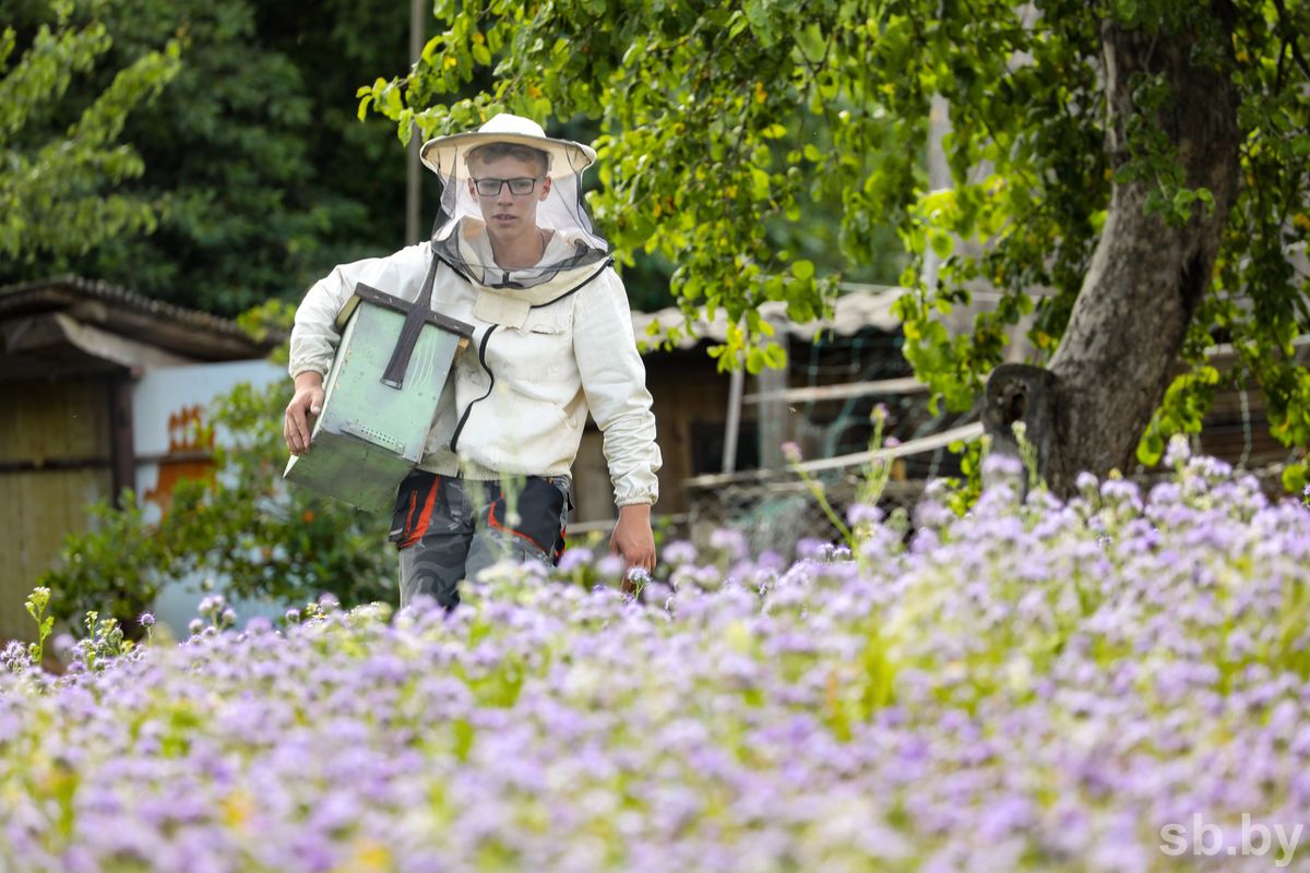 У могилевчанина Владислава Хлыстунова уже в 14 лет появилась собственная пасека