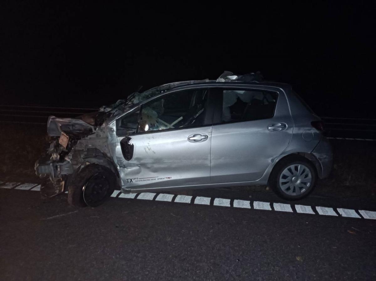 В Бобруйском районе Toyota сбила лося – водитель в больнице