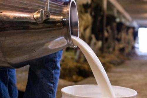 Минсельхозпрод установил надбавки к ценам на сельхозпродукцию, закупаемую у населения