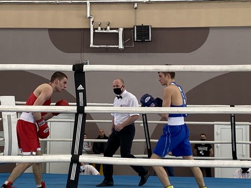 Представители Могилевской области завоевали 3 золотые медали на первенстве Беларуси по боксу