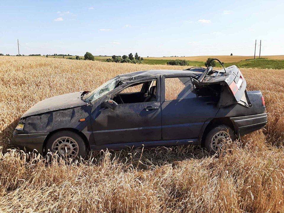 Seat Toledo вылетел в кювет в Горецком районе - пострадала пенсионерка