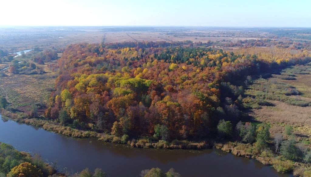Новации в Кодексе о недрах пояснили в Минприроде