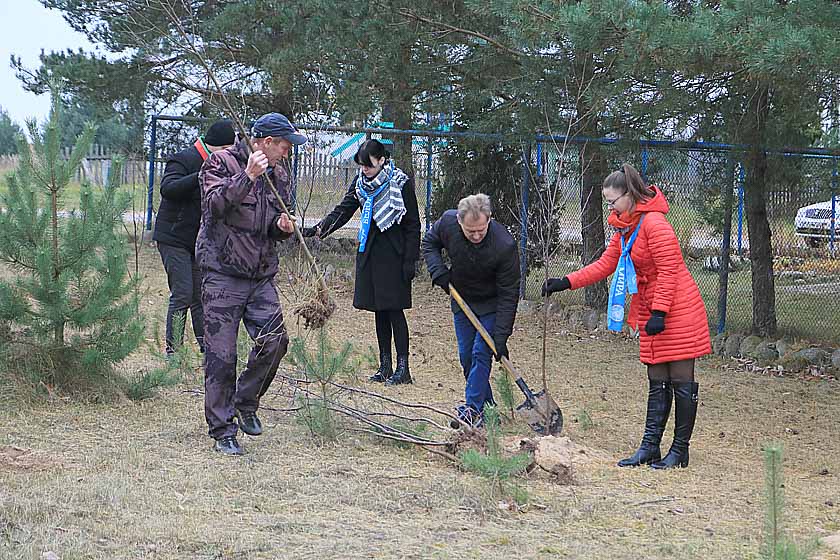 В Дрибине в честь Года народного Единства появилась Аллея «Дружбы»