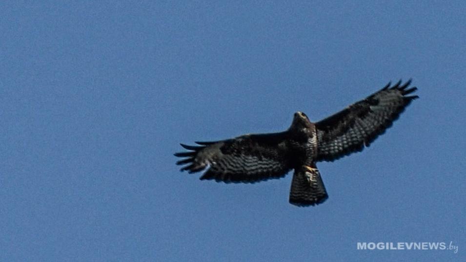 Погода на неделю: около 0°С и мокрый снег с дождем, к выходным - понижение ночной температуры и без осадков