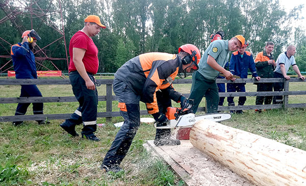 Определены победители соревнования профессионального мастерства вальщиков леса Климовичского лесхоза