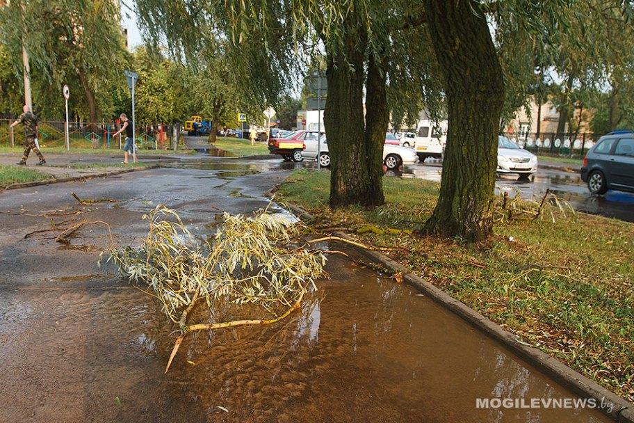 Оранжевый уровень опасности из-за сильных дождей объявлен в Могилевской области на 20 мая