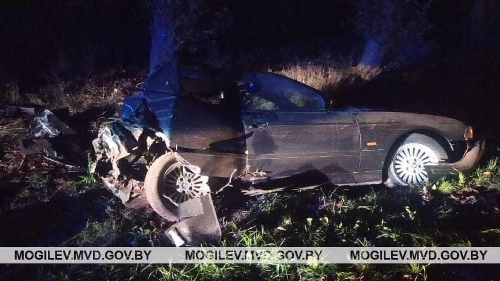 Два человека пострадали в Быховском районе в результате ДТП