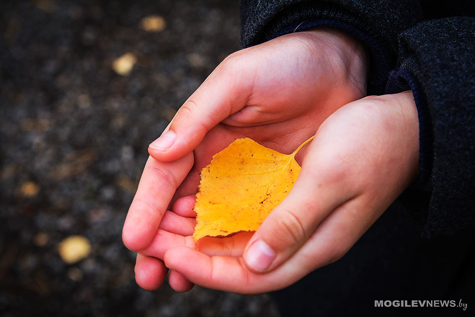 Погода на неделю: холодно и дождливо, к выходным - небольшое потепление