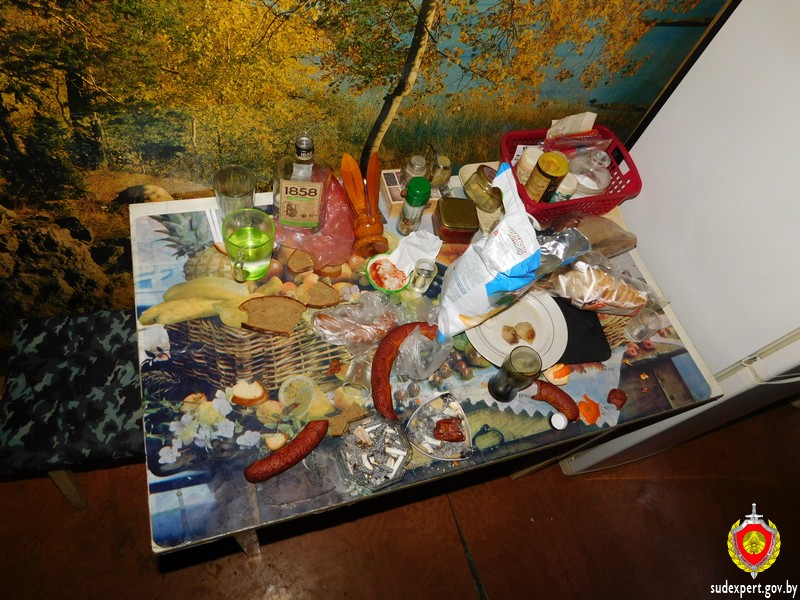 Закончены судебные экспертизы по уголовному делу об убийстве могилевчанина