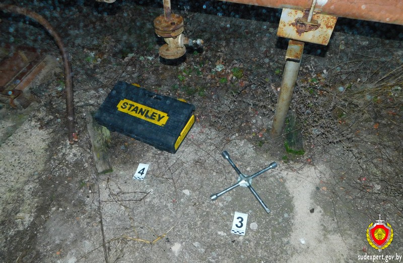 В Дрибине злоумышленников установили по следу пальца руки