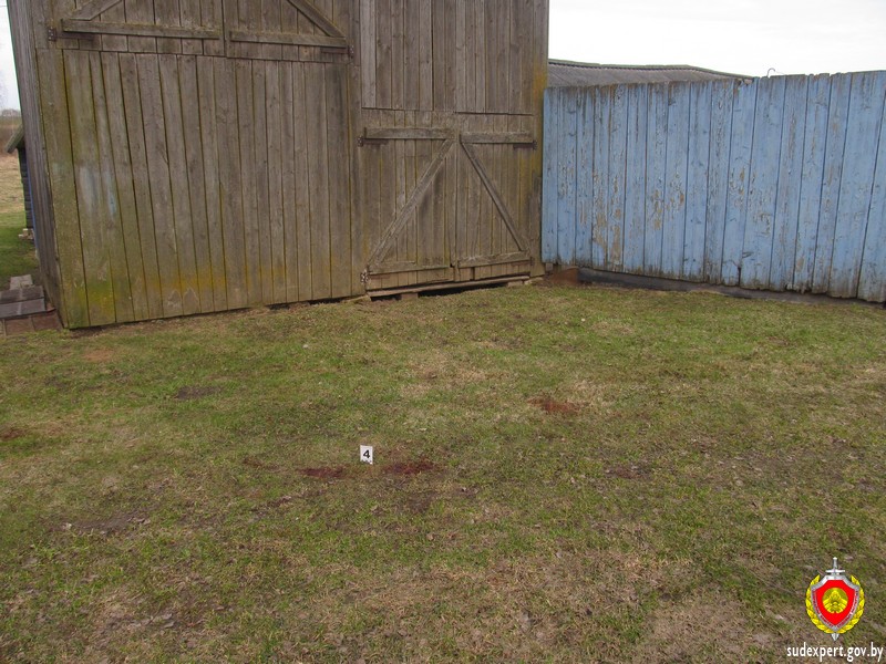 Судебные эксперты завершили исследования по уголовному делу об убийстве мужчины в Круглянском районе