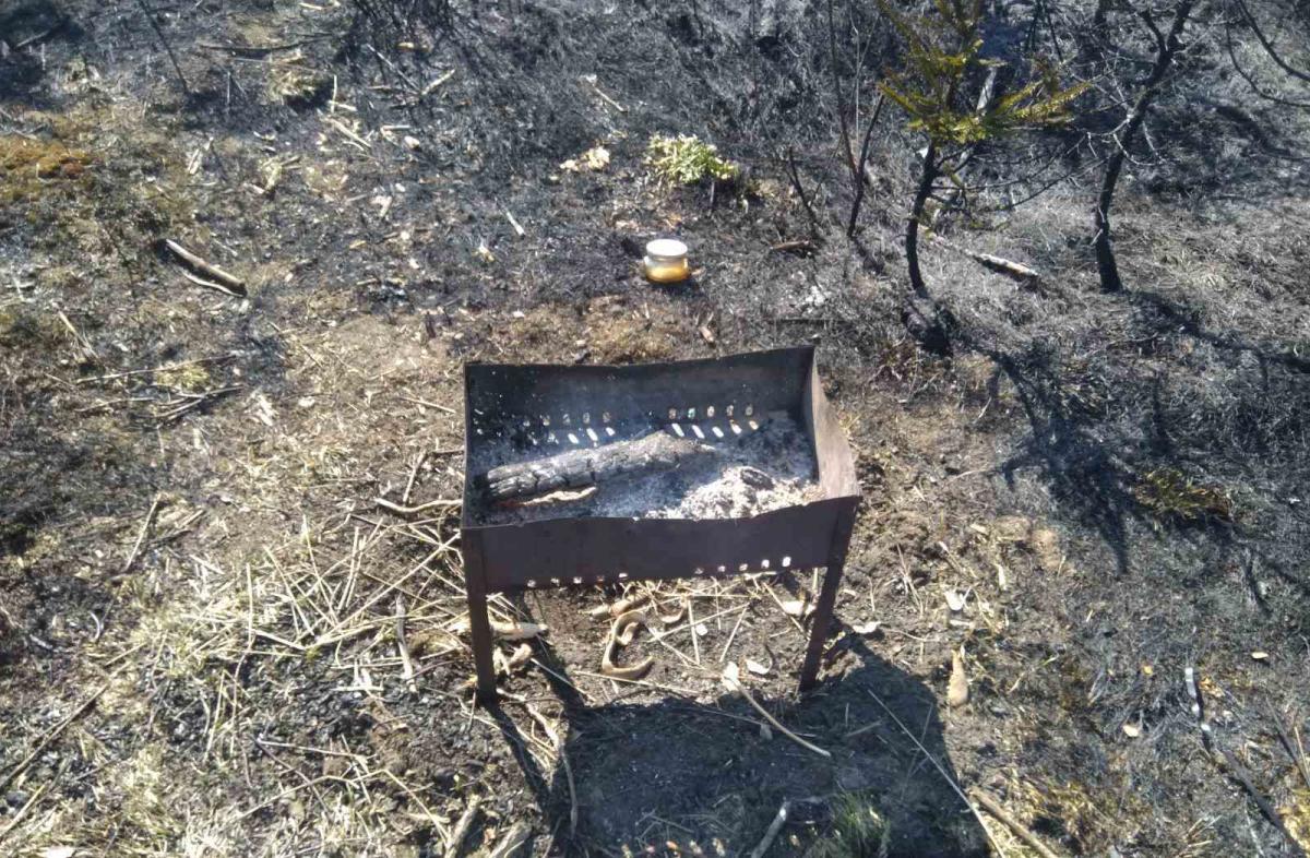 Пожар на площади 7 тысяч кв.м.устроили любители пикника в Могилеве