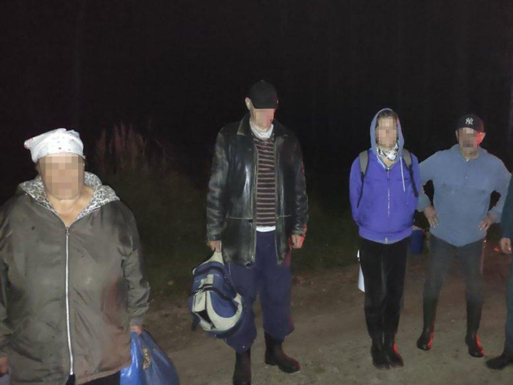 Четырех грибников, заблудившихся в лесах Кличевского района, искали спасатели