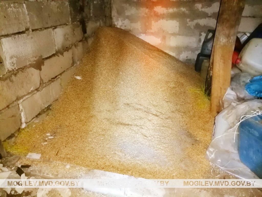 Женщина в Осиповичском районе украла 320 кг зерна