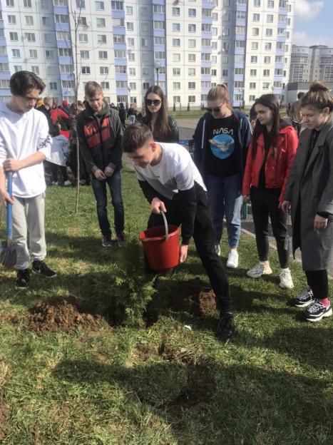 Новый социальный  проект по благоустройству реализует Совет территориального общественного самоуправления микрозоны № 13 Ленинского района города Могилева