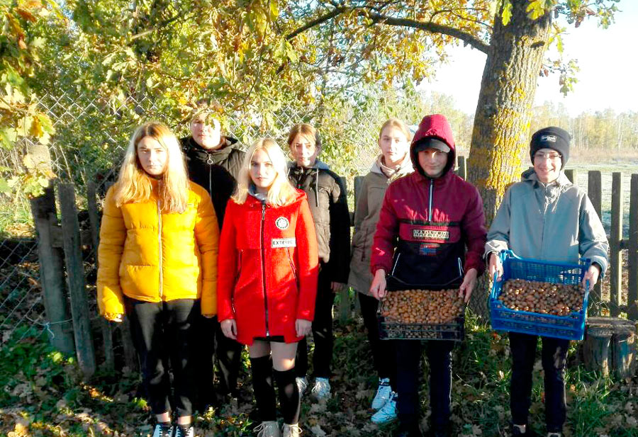 Юные лесоводы из  Сокольничского  учебно-педагогического комплекса  собирают желуди и изготавливают кормушки для птиц