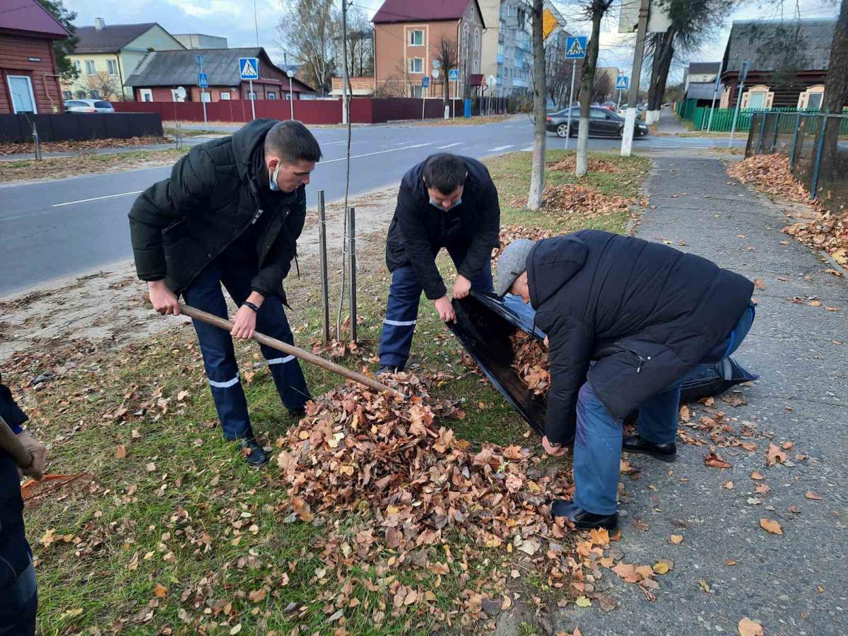 Сотрудники Осиповичского отдела охраны приняли участие в областном субботнике