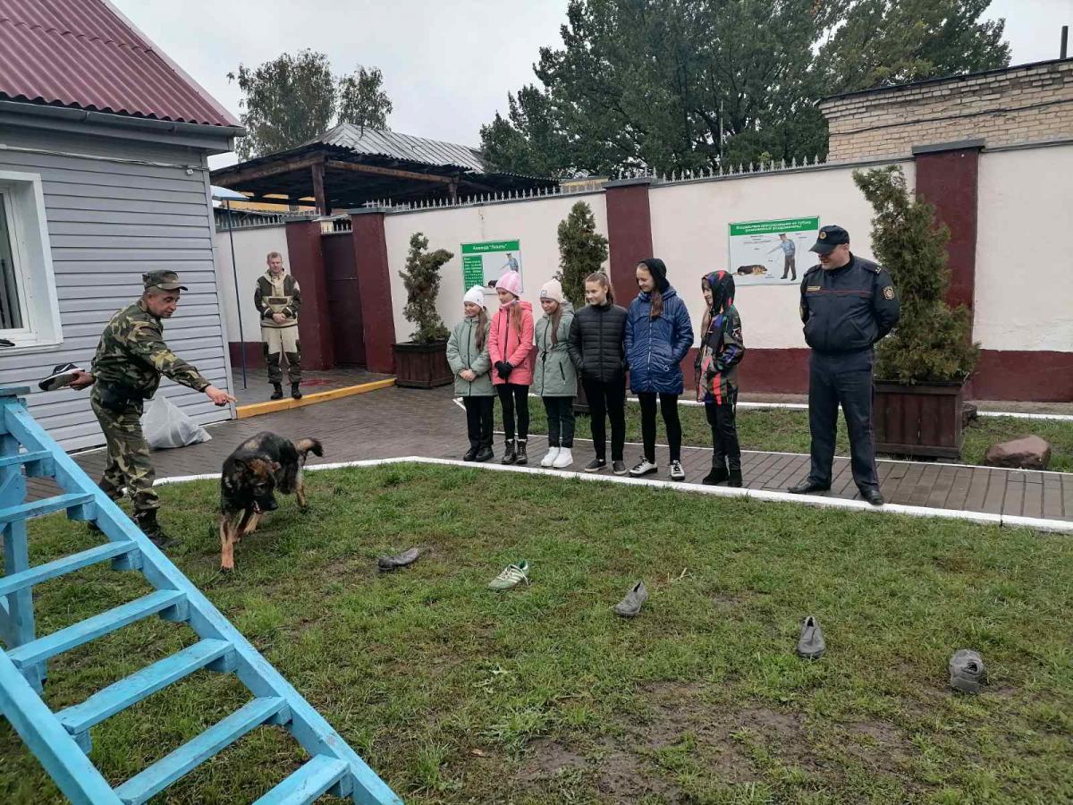 Школьники в Бобруйске побывали в питомнике служебных собак. Фото