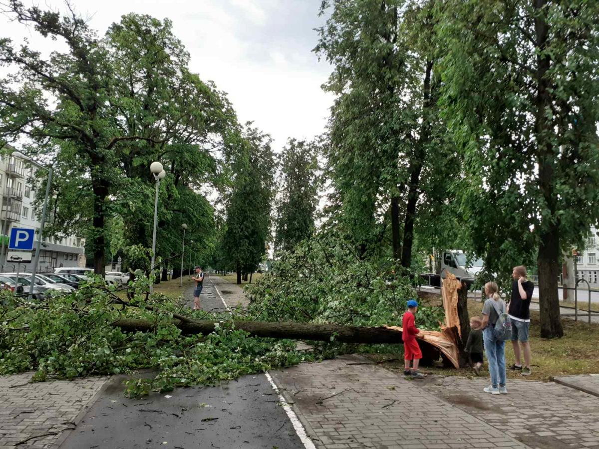 Шквалистый ветер и ливень прошлись по Могилеву. Фото