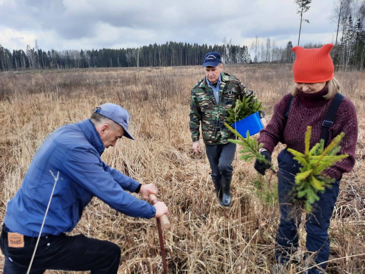 Активный отдых с пользой показан, как старшему, так и молодому поколению - Янков