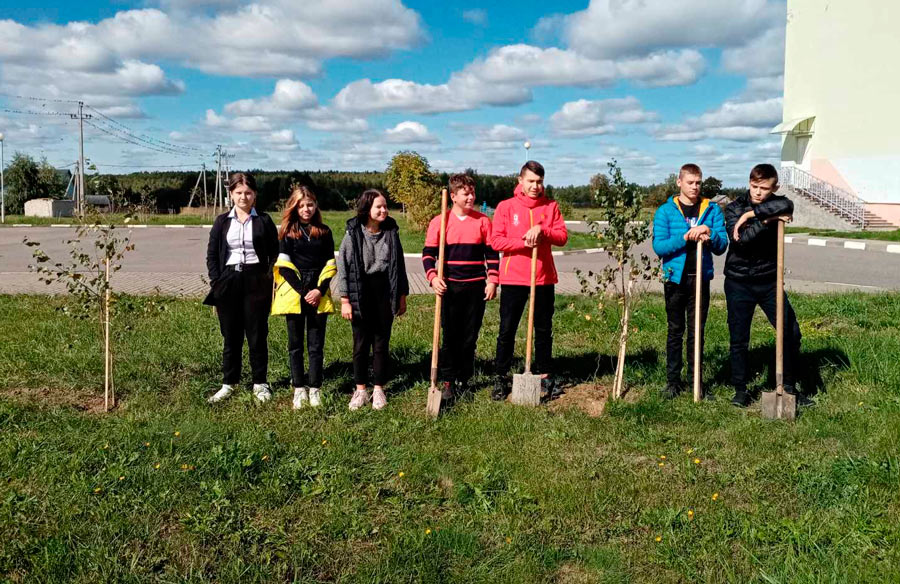 Ко Дню народного единства  учащиеся ГУО "Устянский УПК детский сад -базовая школа" Чаусского района  посадили березовую аллею