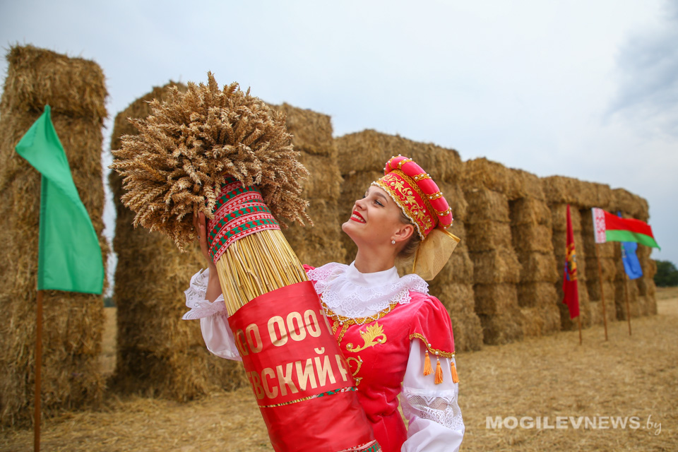 Хлеборобов Могилевского района чествовали с намолотом 100 тысяч тонн зерна. Фото