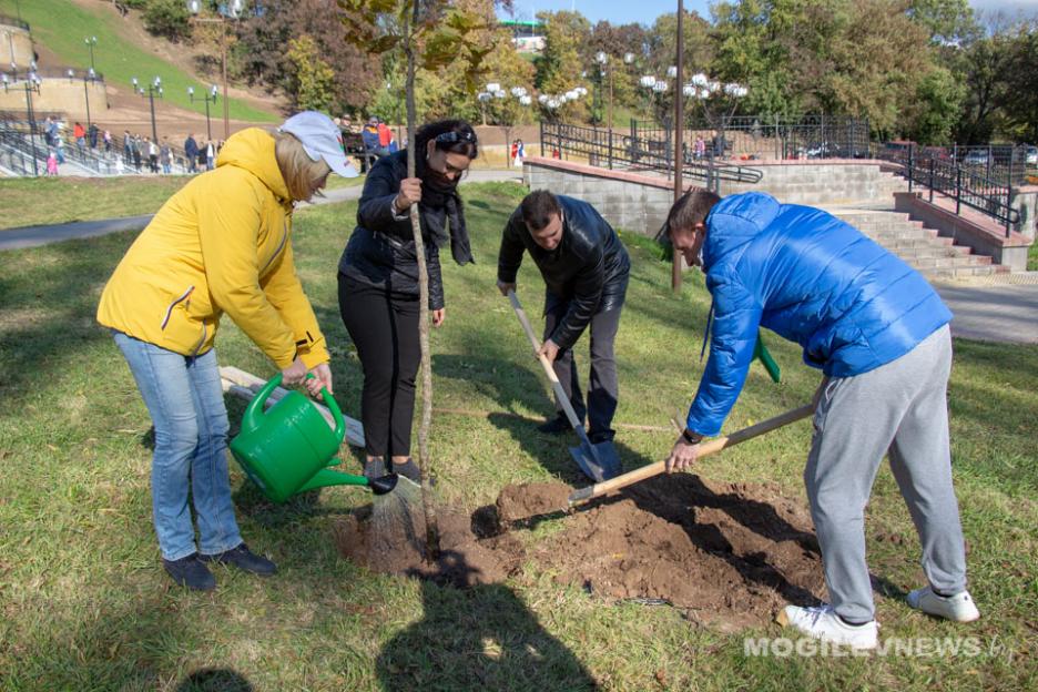 Масштабная уборка запланирована в Могилеве