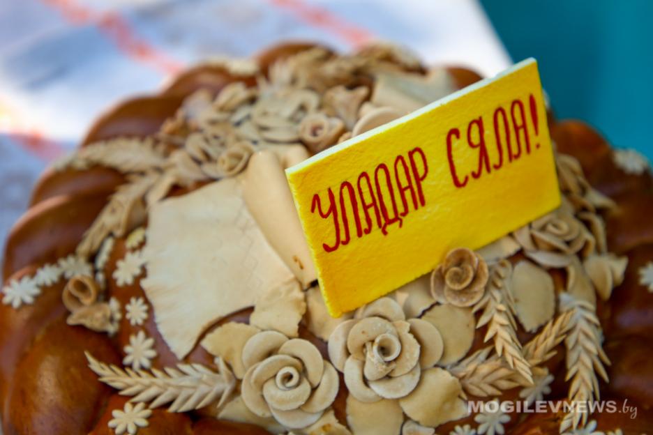 "Властелинами села-2021" признана семья Погодиных из Круглянского района Могилевской области