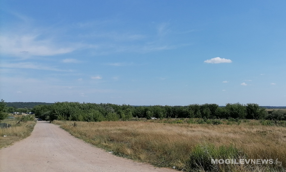 Желтый уровень опасности из-за жары объявлен 1 августа в Могилевской области