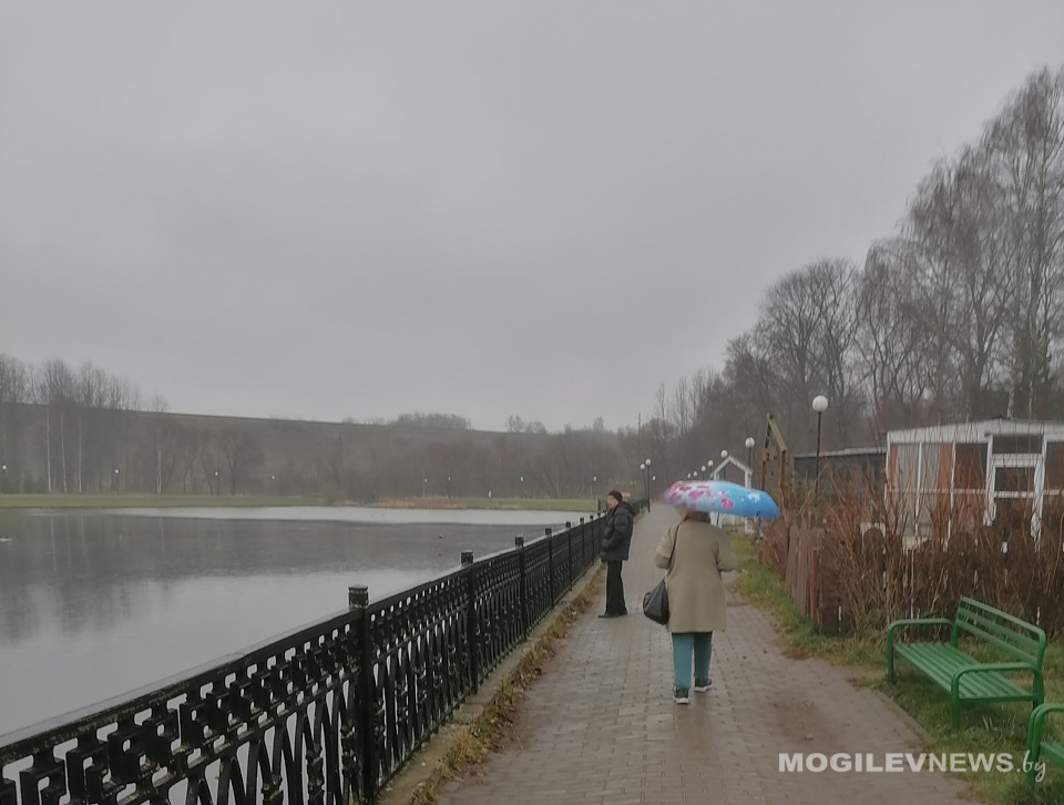 Дождь и сильный ветер -  погода в понедельник