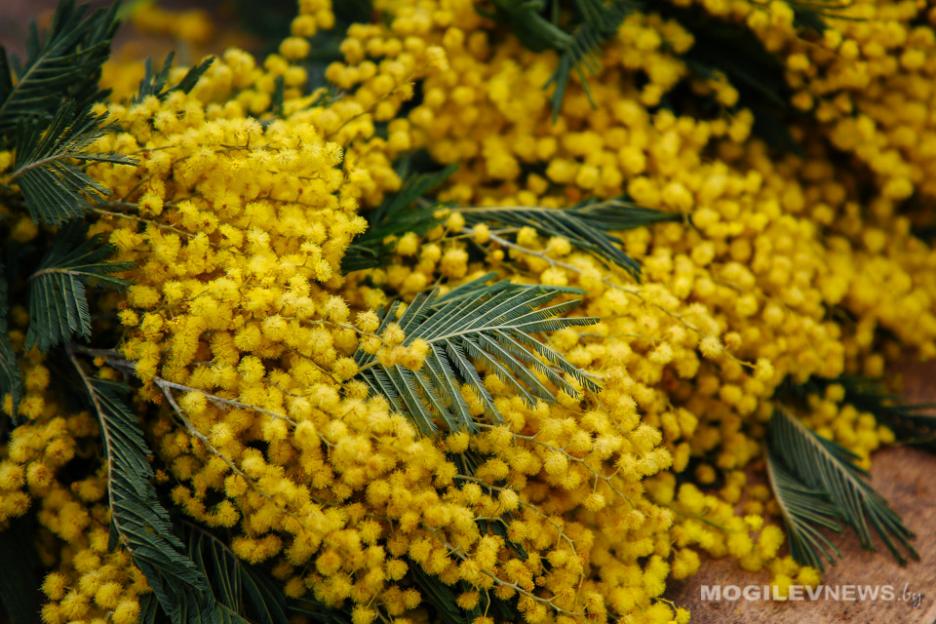 Возвращение «минуса»: до -14°С - ночью, до -7°С - днем ожидается в первой половине следующей недели