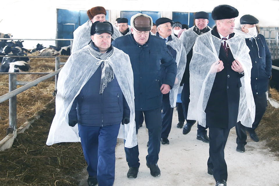 Итоги работы АПК Могилевщины обсудили в Горках