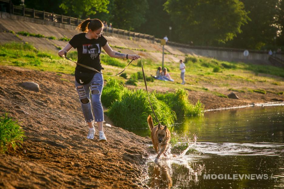 Лето начнется с дождей, гроз и похолодания в Могилевской области