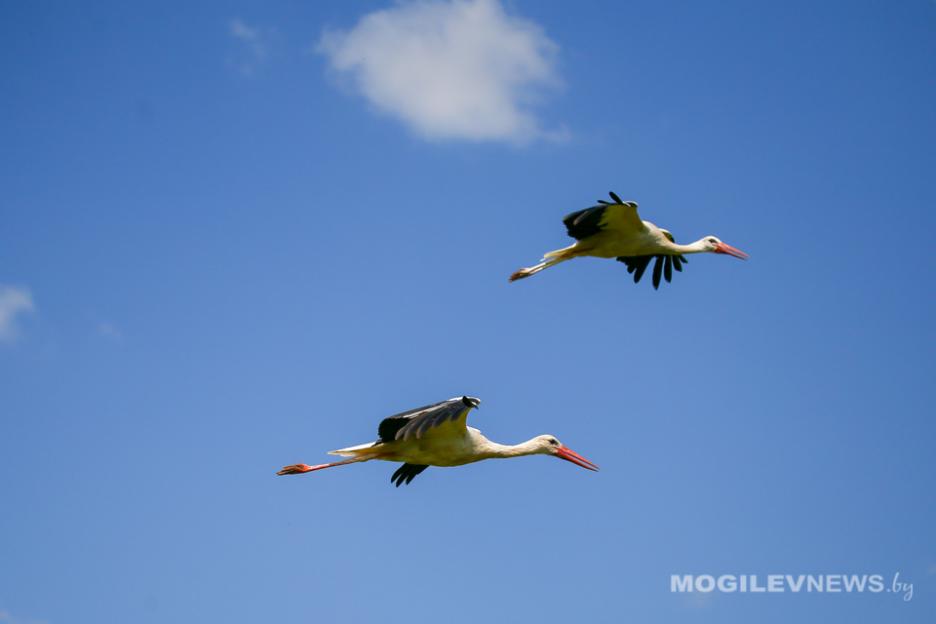 Погоду на выходных продолжит определять воздушная масса субтропического происхождения, местами дожди
