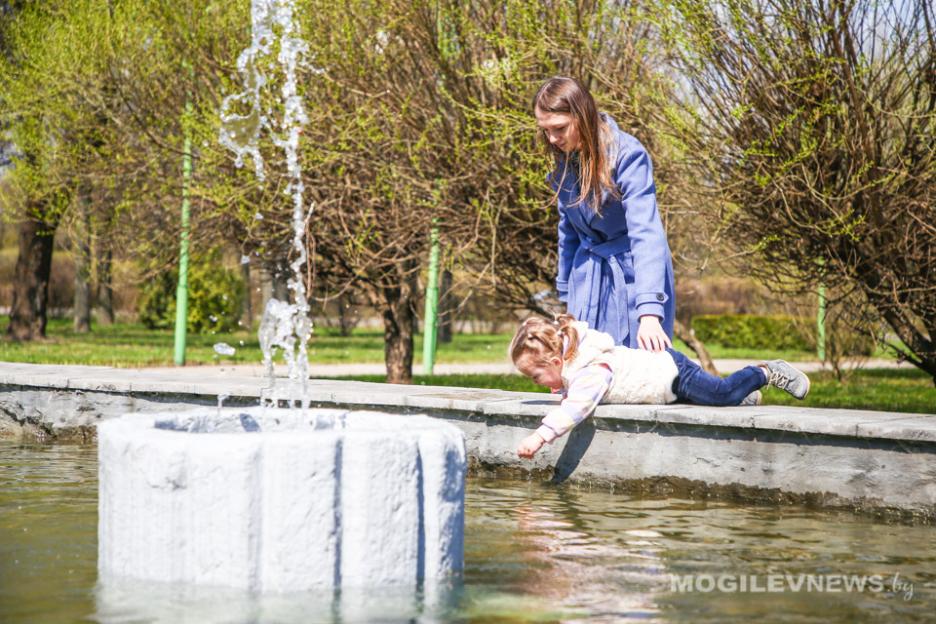 Станет теплее, но сильный порывистый ветер сохранится и во второй половине недели в Могилевской области