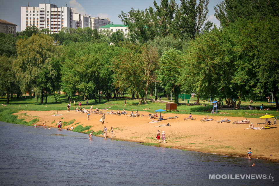 В водоемах на 7 пляжах запрещено или ограничено купание в Могилевской области